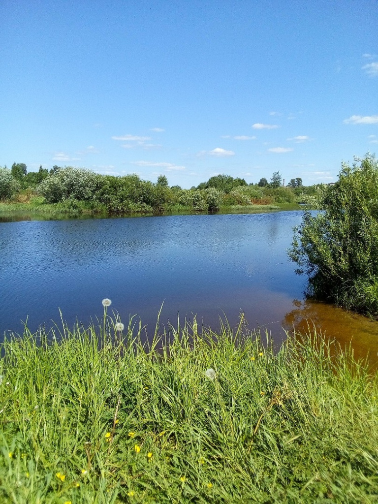 Русло реки Межа в Тверской области вновь наполнилось водой 7 июня 2019